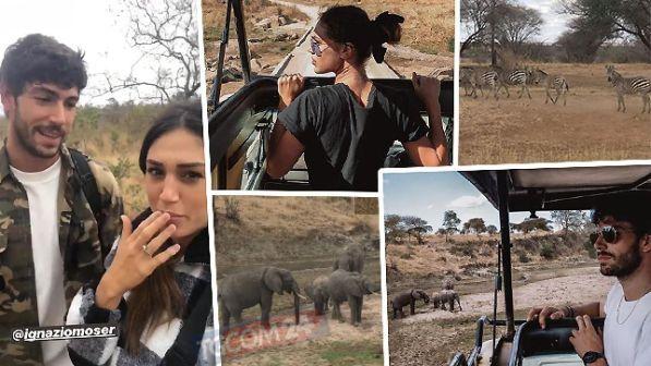 Cecilia Rodriguez e Ignazio Moser, amore "selvaggio" nella savana