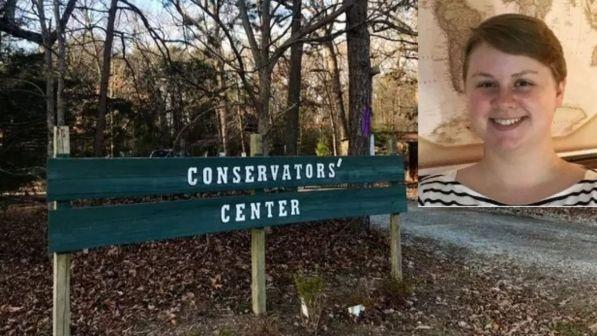 Usa, leone fugge da recinto e uccide 22enne che stava pulendo l'area