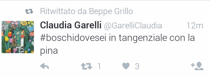 Grillo lancia l'hashtag #Boschidovesei e retweetta anche gli insulti sessisti