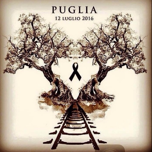 #PrayforPuglia, Twitter prega per le vittime del disastro e lancia un'immagine simbolo
