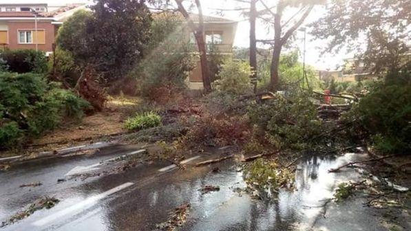 Maltempo in Piemonte, Chieri la città più colpita: vento a 100 km/h