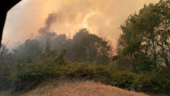 Sardegna, rogo lambisce colonia penale: detenuti evacuati