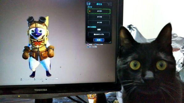 Monster Hunter World, la reazione dei gatti (quelli veri) di fronte allo schermo