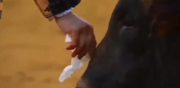 Il torero asciuga le lacrime del toro infilzato: sdegno online