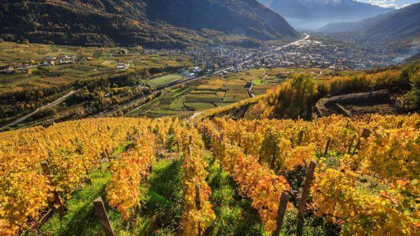 Prosecco, Conegliano Valdobbiadene: via il nome dalle etichette del prodotto delle nostre zone
