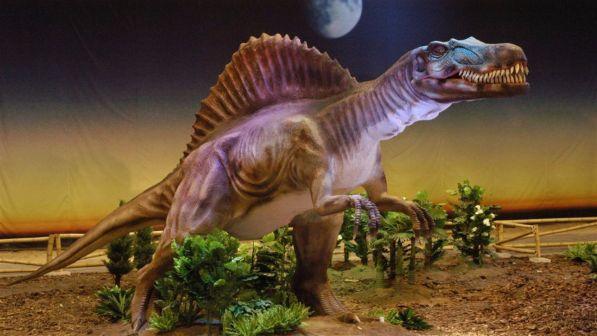 Mammiferi, hanno smesso di essere
animali notturni dopo l'estinzione dei dinosauri