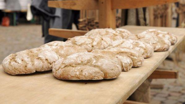 Il lato "oscuro" del pane, una pagnotta costa all'ambiente 0,6 chili di CO2