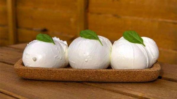 Firenze, studentessa trova due aghi per cucito nella mozzarella