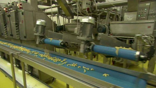 Ocse: "Disoccupazione in Italia stabile all'11,1% a settembre"
