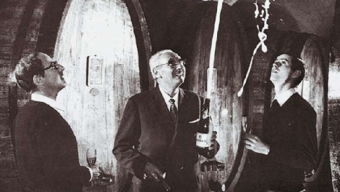 storie d'impresa cantine ferrari trento lunelli