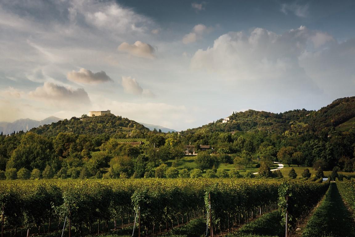 Vinitaly 2019: tutte le eccellenze del vino e dei distillati