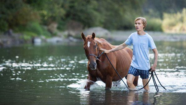 "Charley Thompson", l'amicizia tra un ragazzo e un cavallo nell'America on the road