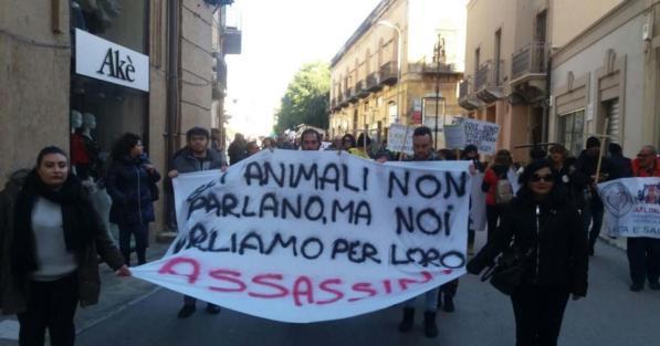 Strage di cani a Sciacca: indagini a tutto campo e una taglia per trovare il killer