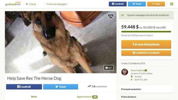 Usa, raccolta fondi per curare il cane ferito mentre difendeva il padrone