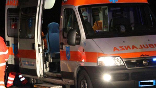 Treviso, scende dall'auto per soccorrere un gufo: travolta e uccisa