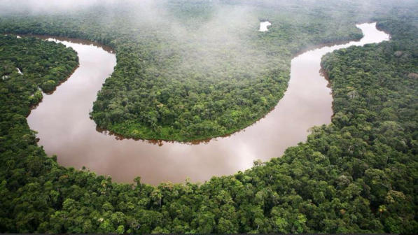 La Terra è più verde rispetto a 33 anni fa: piante in aumento grazie all'anidride carbonica