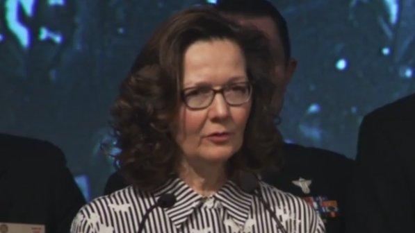 Usa, carriera da agente legata alle torture: chi è Gina Haspel, la prima donna a capo della Cia