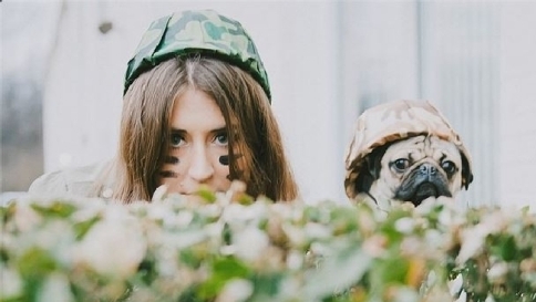 Leslie Mosier doug the pug Nashville Tennessee usa cane umano