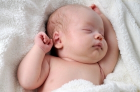 neonato