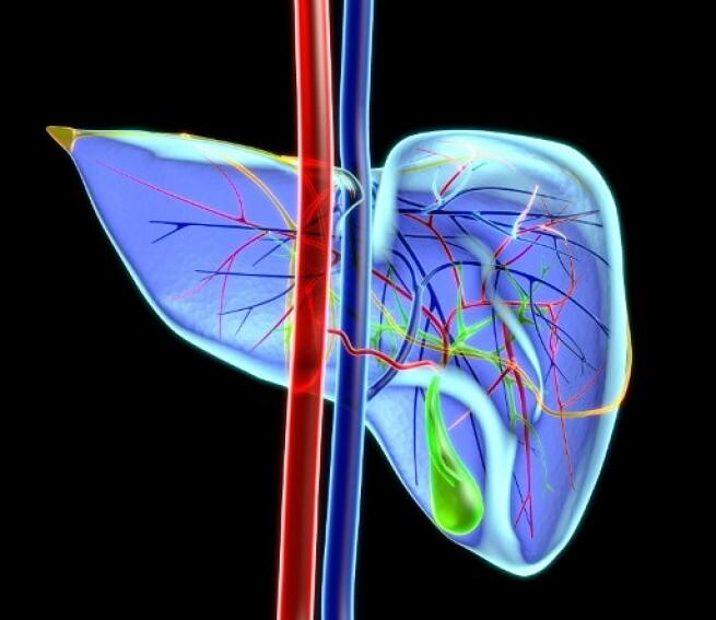 La dieta aproteica per ridurre il consumo di proteine