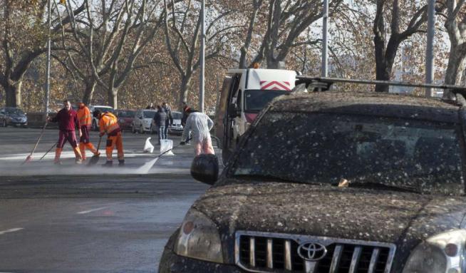 Roma invasa dal guano: chiuso un tratto di lungotevere, traffico in tilt
