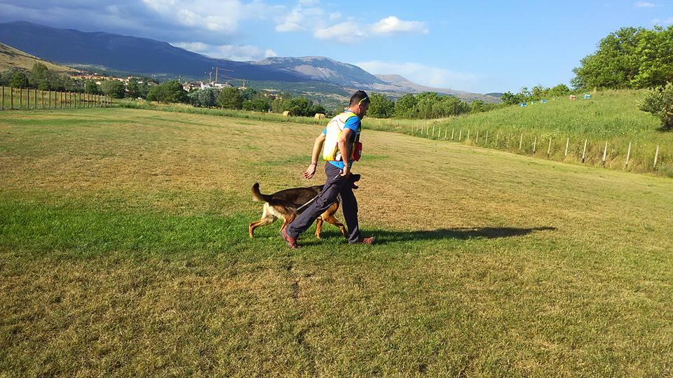 Da Amatrice a Rigopiano: i salvataggi del cane Kaos, ucciso dal veleno